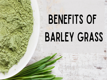 What Is Barley Grass Powder Good For?